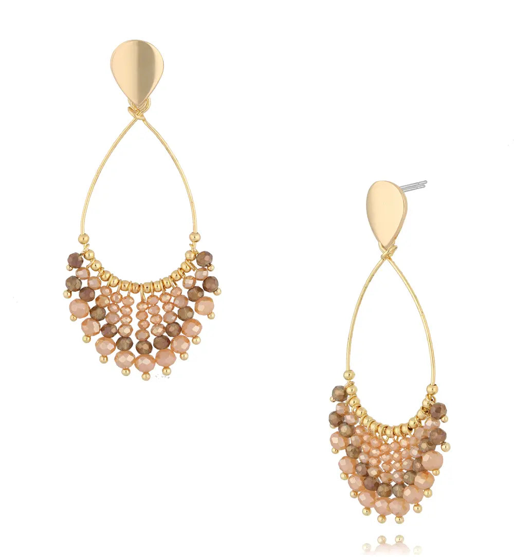 Salmon Color Crystal Earrings