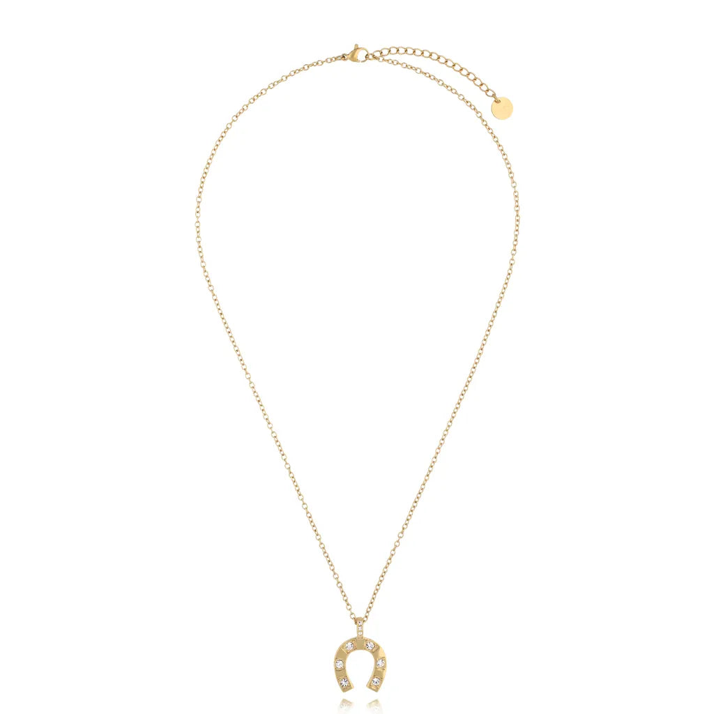Stainless Steel Horseshoe Necklace
